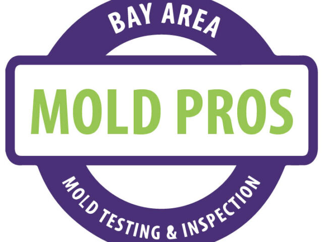 Bay Area Mold Pros